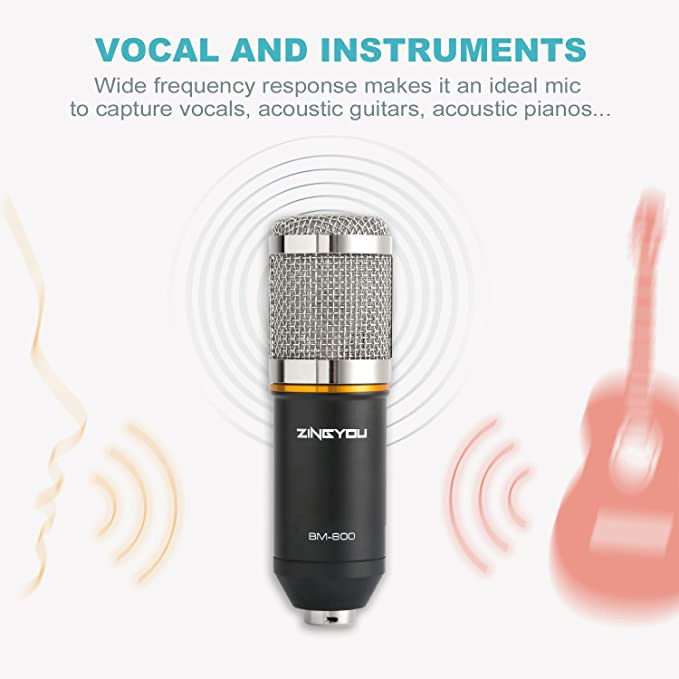 Bm800 Voice Recording Podcasting Studio Adjustable Condenser Microphone for Youtuber Online Chatting