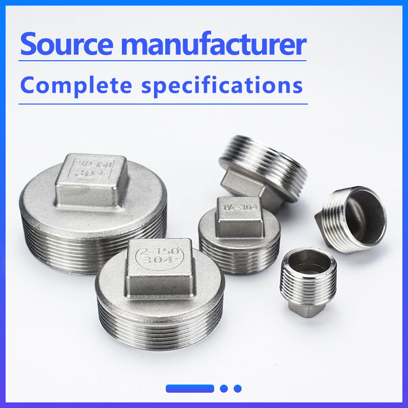 Stainless Steel Pipe Fittings 304 Thread 1'' Plug for Water Oil Gas