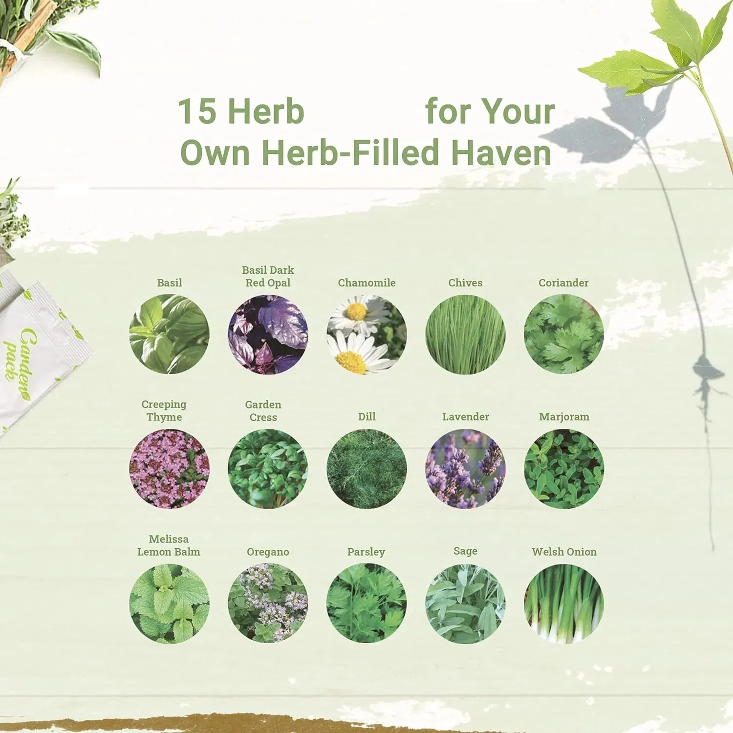 Premium Organic Seed Starter Kit with 100 Herb and Flower Varieties