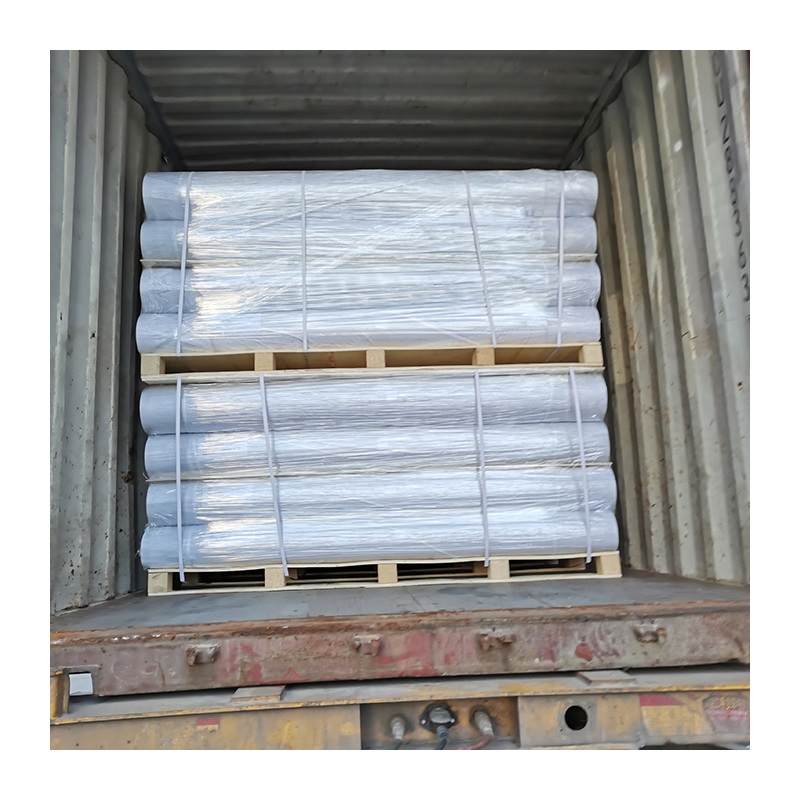 Reinforced Tpo Waterproofing Membrane with Polyester Mesh