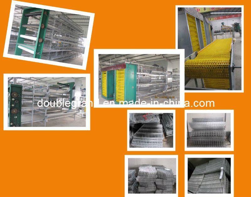 Prefab Steel Structure Poultry House, Chicken House, Farm Building