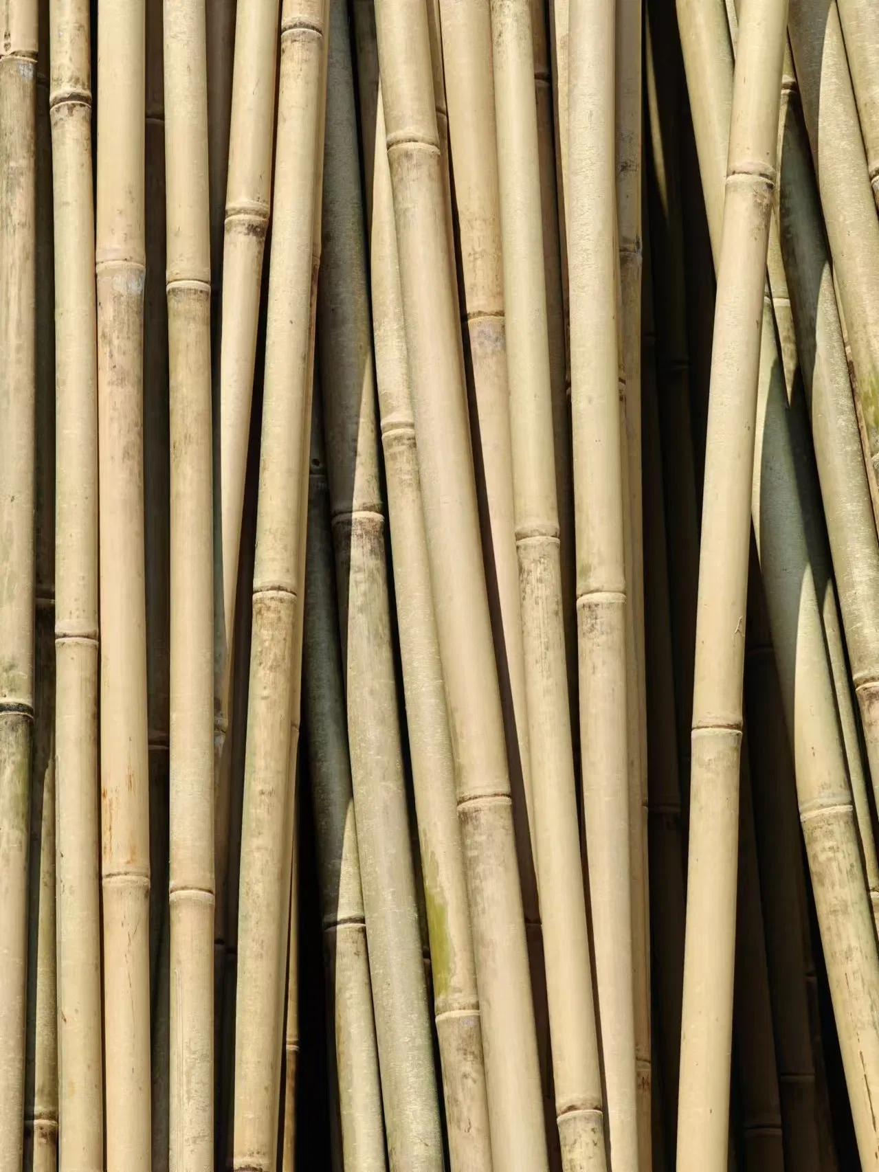 Stake Stick Cane Fence Poles Panel Flowerstick U Trellis Craft Products Bamboo