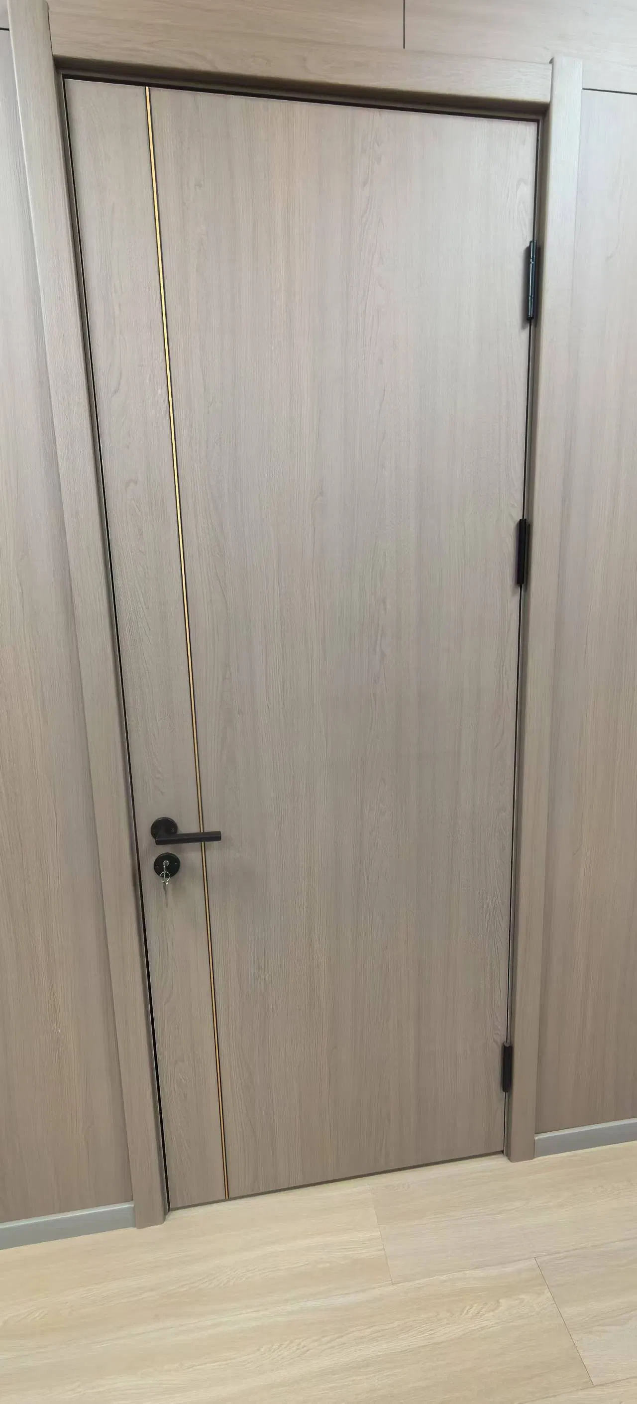 Customized Fire-Resistant School Gate Interior Door for Safety