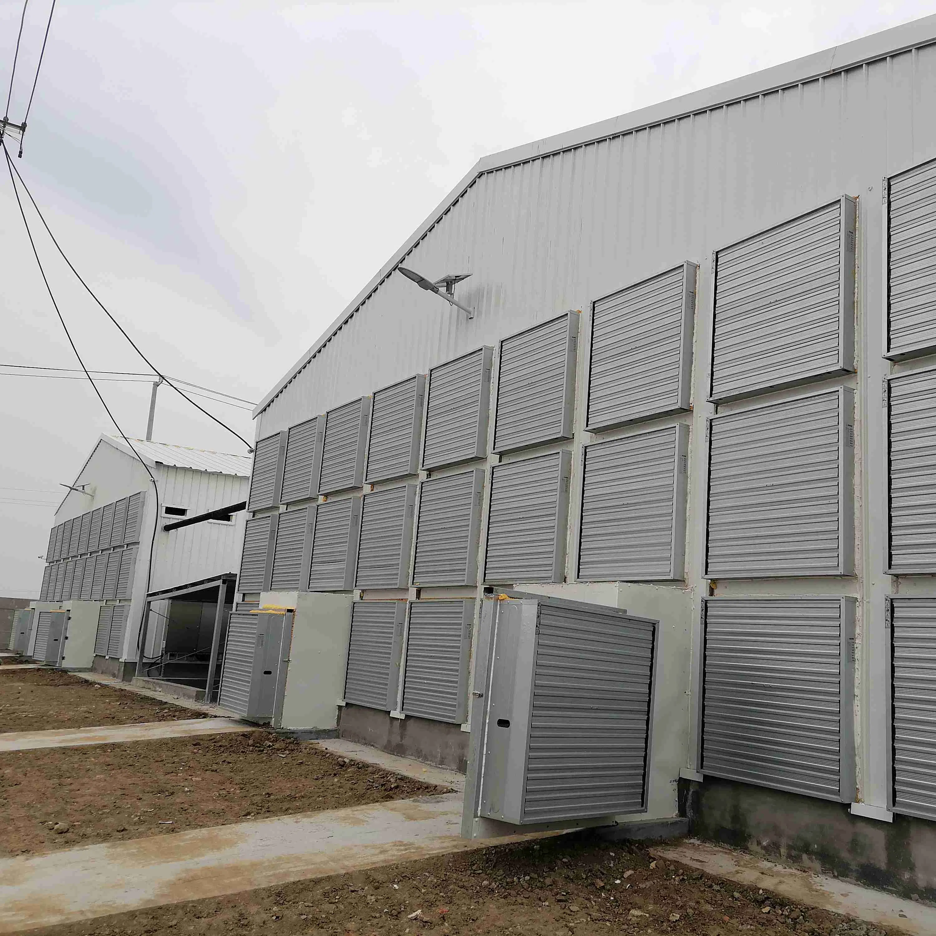 Light Steel Easy to Manage and Put Into Small Broiler Chicken House