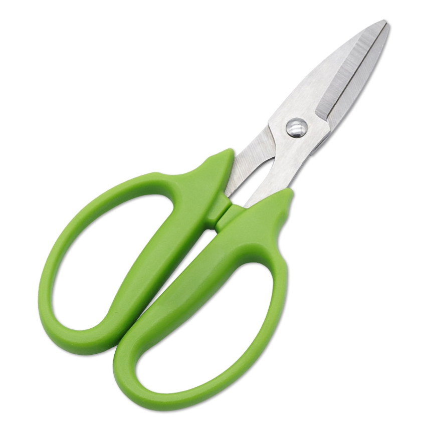 Grape Trimming Bonsai Scissors Pruner for Seedlings and Garden Trees