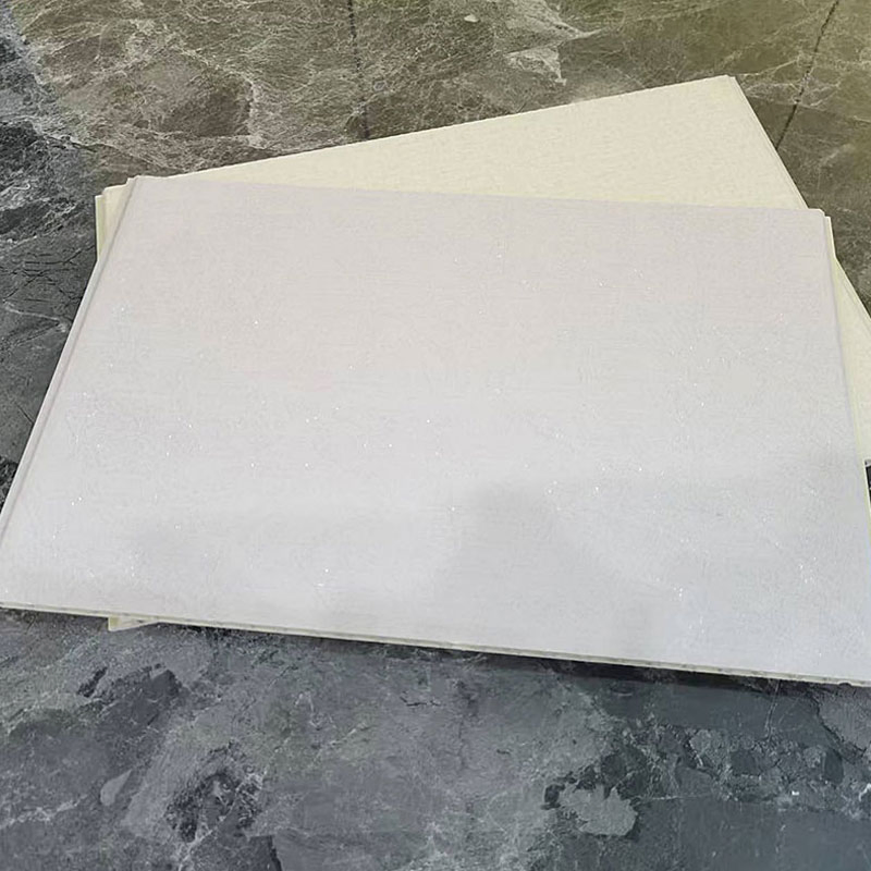 Spc Marble Pattern Wall Panel: a New Waterproof and Moisture-Proof Building Material