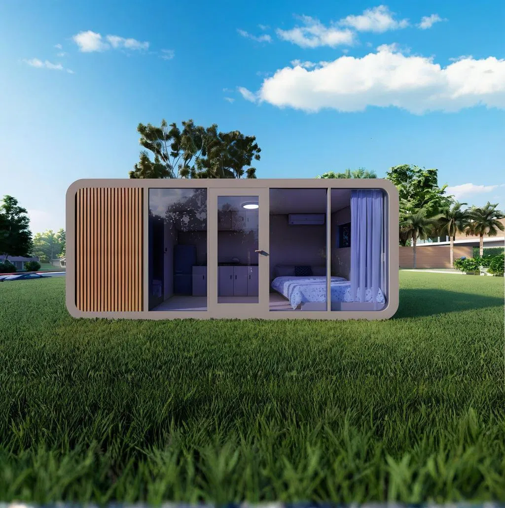 Advanced Apple Capsule Cabin Customized Interiors