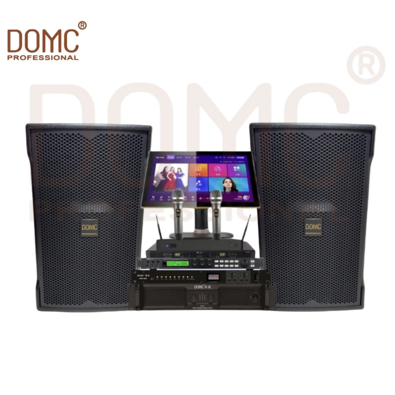 Premium 10-Inch Speaker for Clear Sound at Gatherings