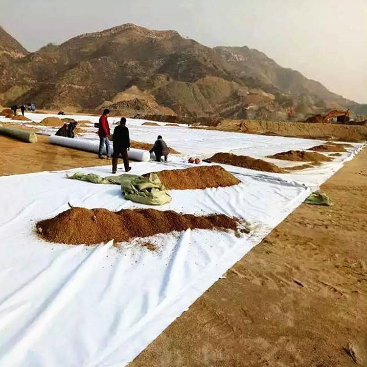 White Black 150g 180g 200g 250g 300g Road Reinforcement Drainage Filtration Fabric Filament Nonwoven Geotextile