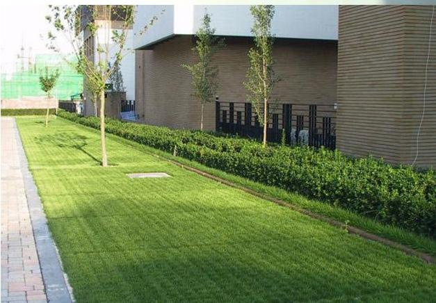 HDPE Grass Grids Pavers Plastic Paving Grid 38mm 48mm 68mm