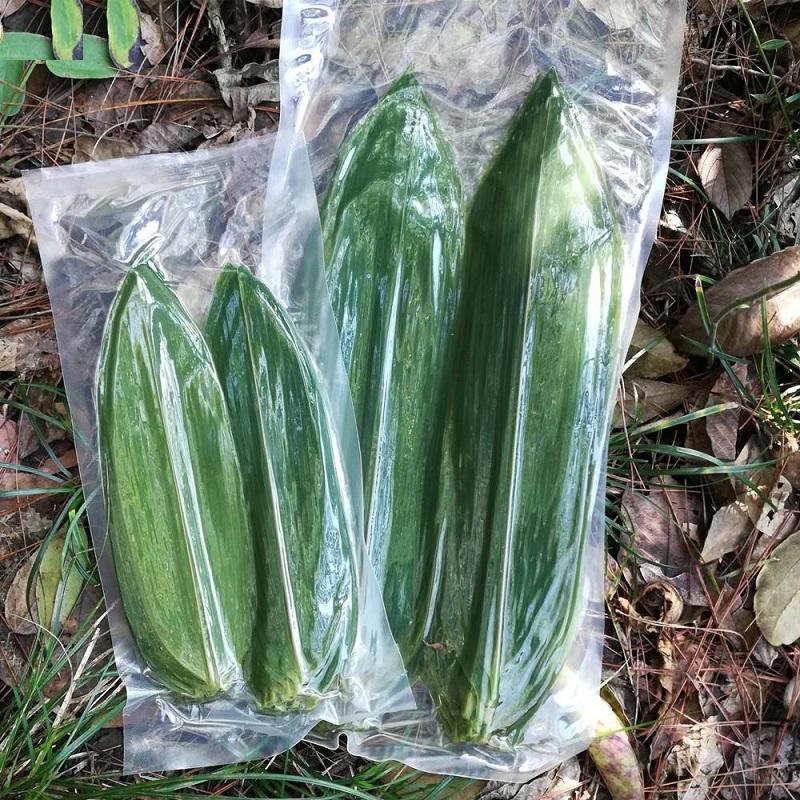 Dried Decoration Bamboo Leaves Artificial Bamboo Serving Leaves