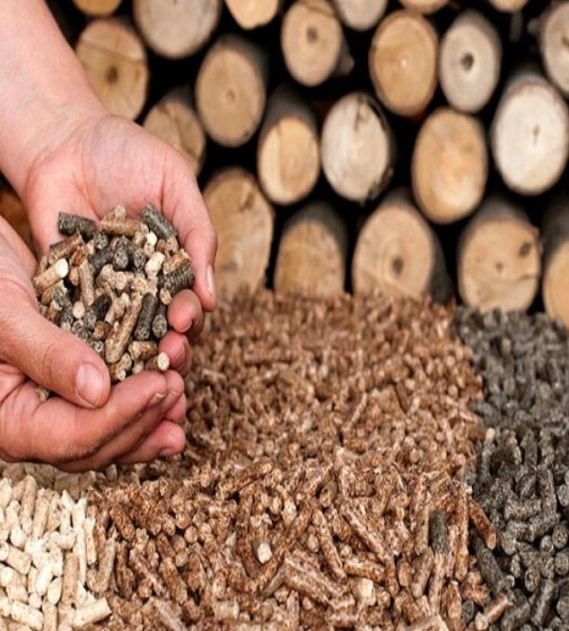 Premium for Fire Pits All Natural Barbecue Smoker and Grilling Fuel Heating Bio Fuel Bamboo Wood Pellets Food