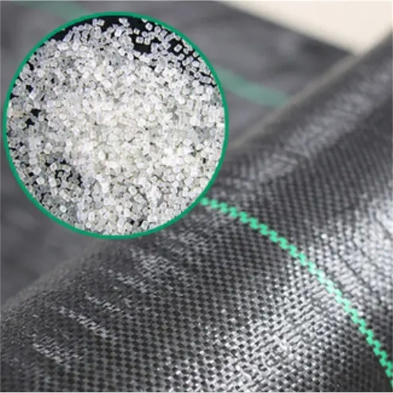 Anti Grass PP Woven Grass Control Cloth Plant Ground Cover Landscape Black Plastic Weed Barrier