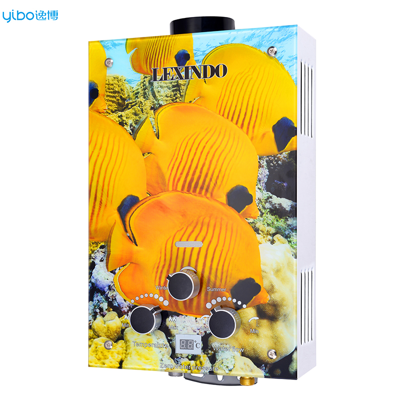 2026 New Design OEM ODM 6 7 8 10 12 16 20 L Tankless Gas Water Heater with LCD Display - Instant 220V Hot Water