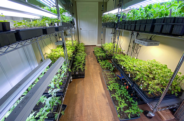 Customized Indoor Steel Microgreen Plant Shelf Greenhouse Frame Seedling Tray Racks
