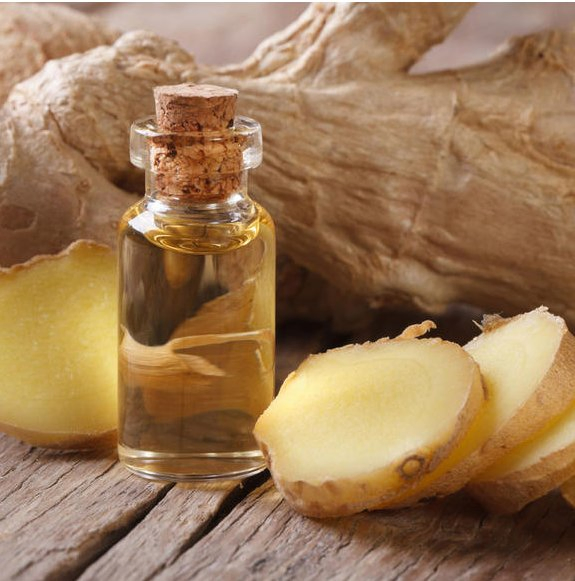 Free Sample Natural 100% Pure Ginger Essential Oil Gingerol