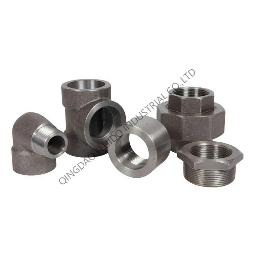 Forged Carbon Steel and Stainless Steel SS304/SS316 Hex Bushing
