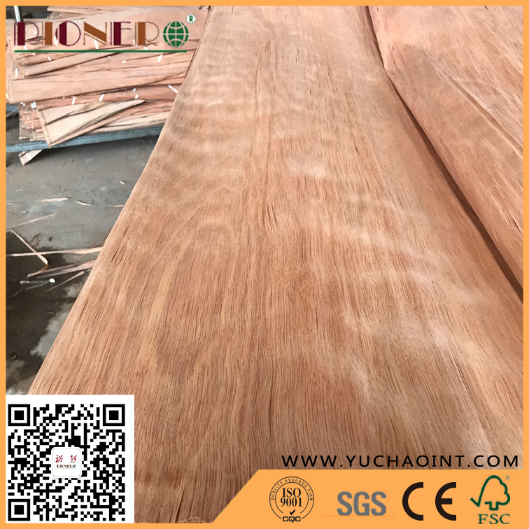 B Grade Natureal PA/Plb Veneer for India Market