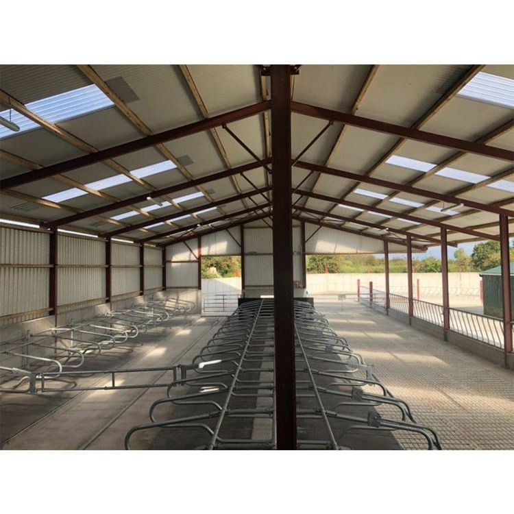 Anti-Seismic Design Cattle Shed Prefab Steel Structure Cow Shed