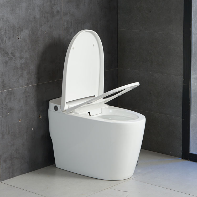 Mechanical Fitting Foot Kick Flush Ceramic Sanitary Toilet