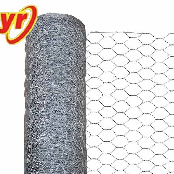 Cold Galvanized Chicken Mesh for Wall Plaster Mesh Anti Rust Easy to Install