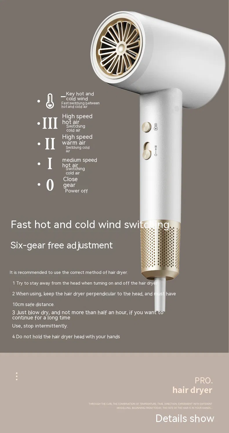 Salon Blower Dryer Professional Strong Wind Super Ionic Hair Dryer 2000W