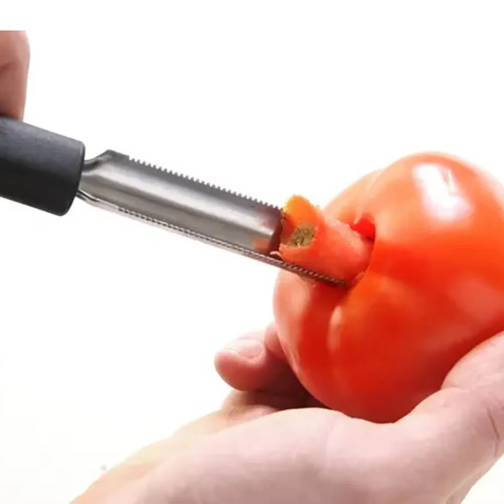 Stainless Steel Eco-Friendly PP Handle Vegetable Apple Corer Kitchen Gadget for Home Kitchen Use