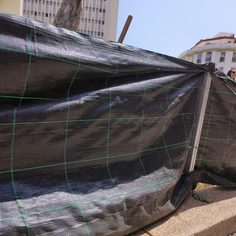 Anti-Aging Black-White Dual-Side Mulching Film Weedmat for Greenhouse Use for Morocoo