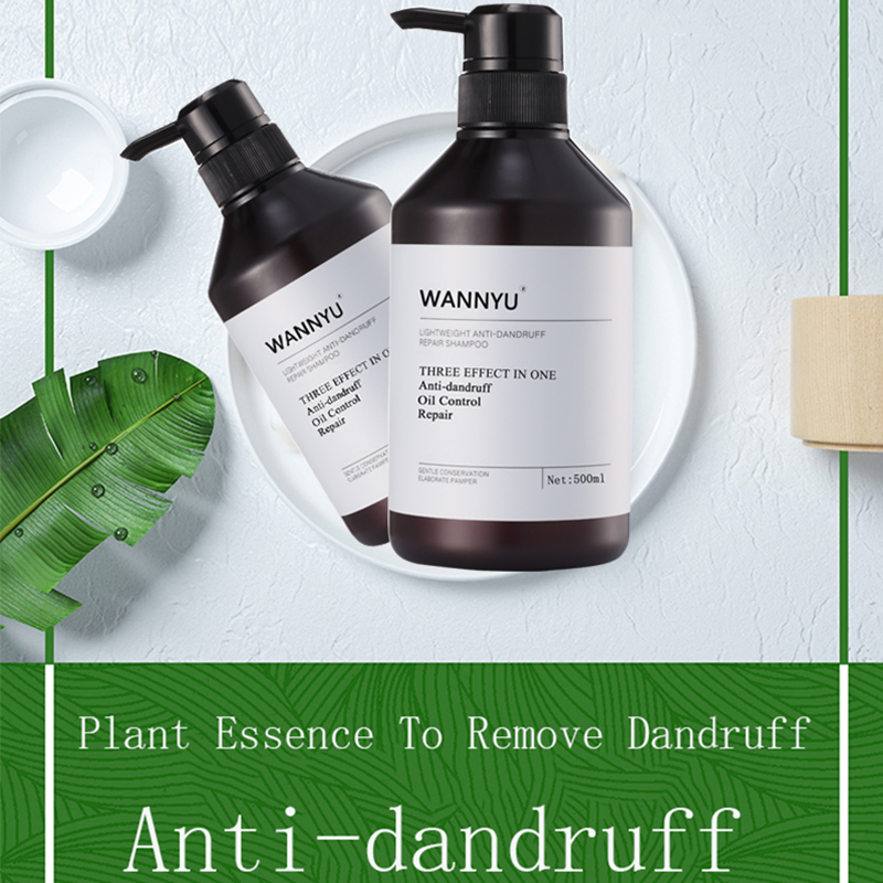 Free Design Available Pet Bottled High Quality Best Mild Fragrant OEM Hair Shampoo Wholesale