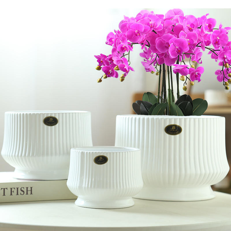 Керамический горшок для цветов с кашпо