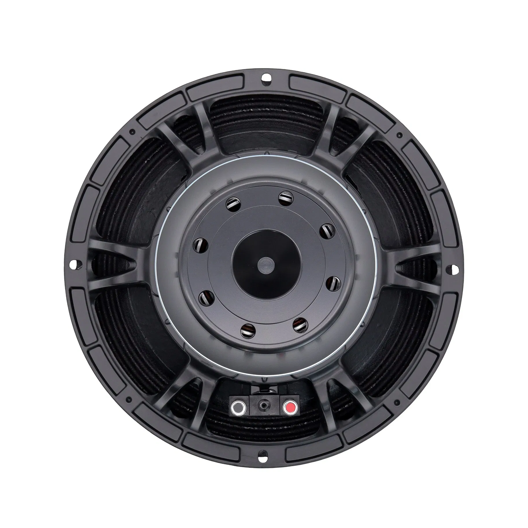 Professional 10 Inch Woofer Speaker 800W Stage PA Speaker OEM