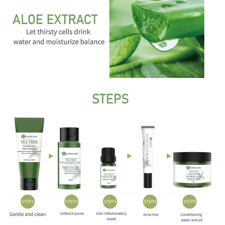 Organic Tea Tree Anti Acne Skin Care Set Private Label Acne Treatment Skin Care Set