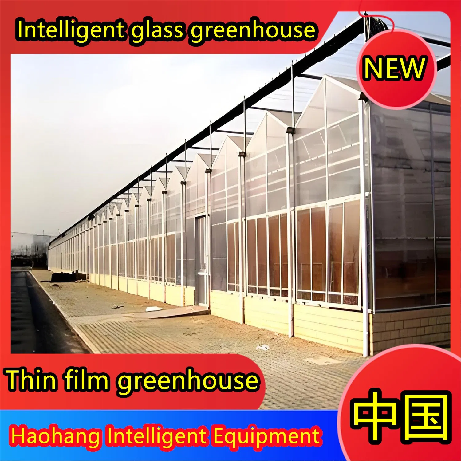 Solar Panel Greenhouse Manufacturing Plants Exporting to Europe