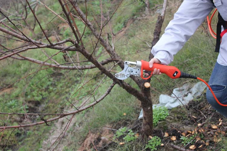 Lithium Battery Easy Hold Pruning Shears Tree Branch Cutting Electric Pruner