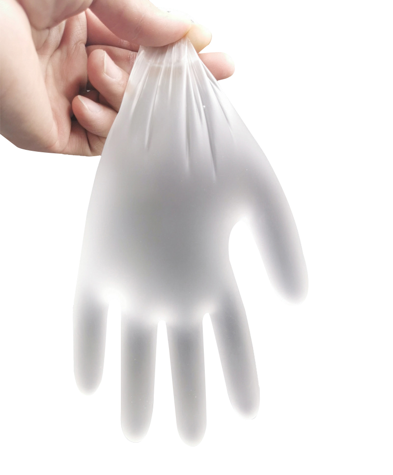 Vinyl Gloves PVC Gloves- Disposable, Powder Free, Latex Free, Food Processing & Kitchen Coocking