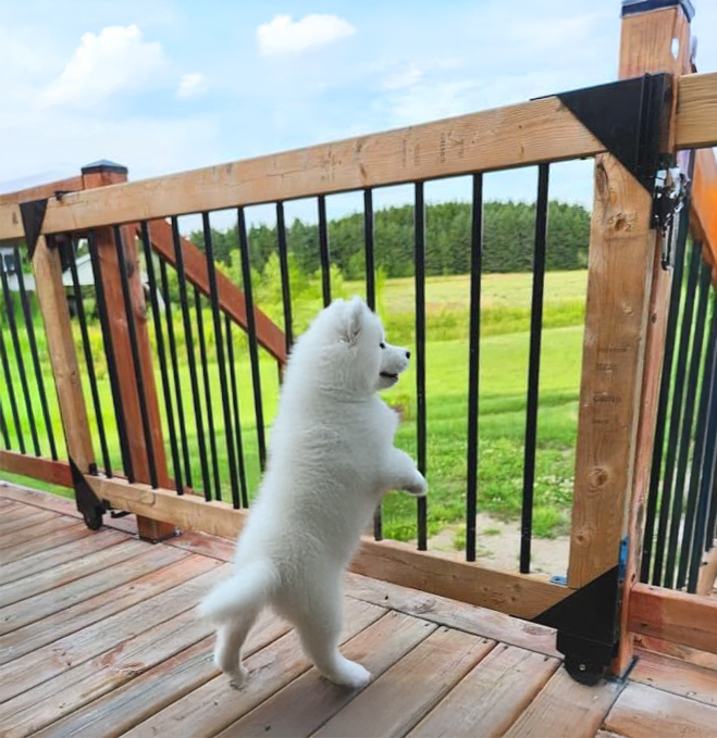 Sliding Gate Kit, Adjustable Door Hardware Kit for Wood Fence