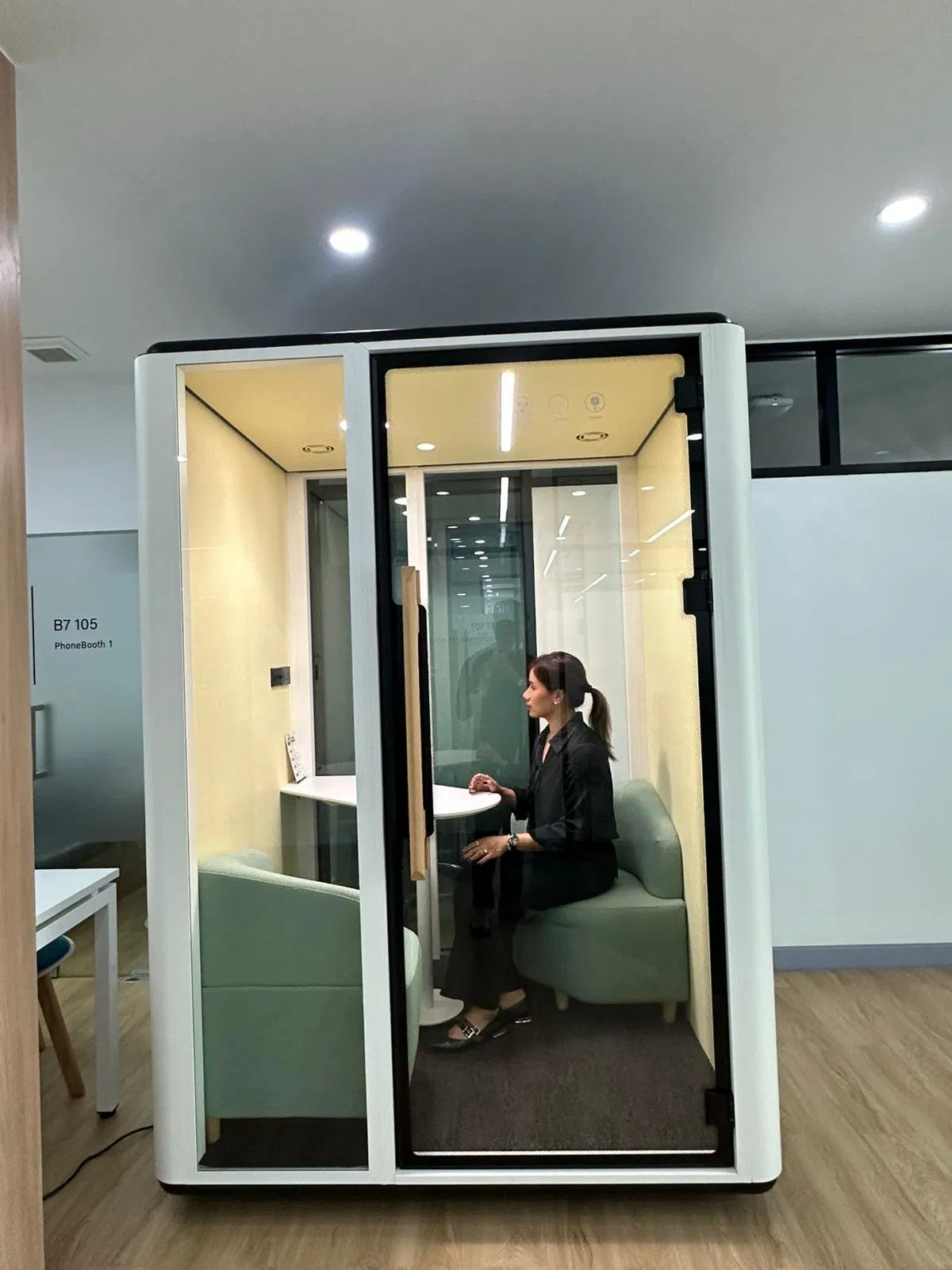 Customizable Office Meeting Pod for Quiet Conversations and Calls 1-6 Persons