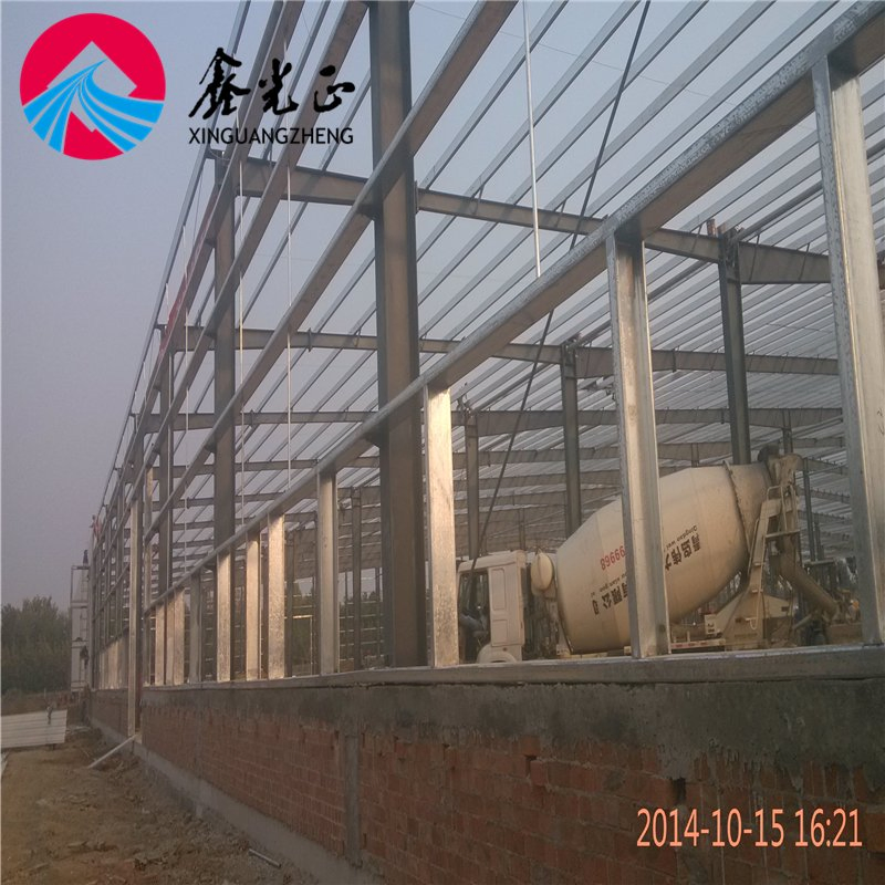 Prefabricated Steel Structure Warehouse/Workshop/Hangar/Garage/Chicken/Cow Shed