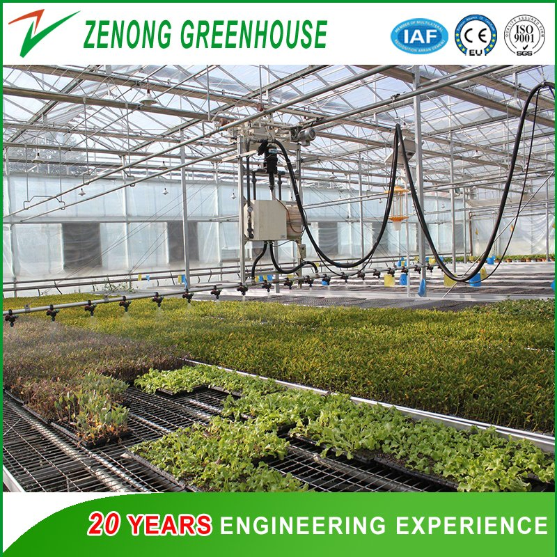 Self-Propelled Sprinkler with Three-Position Head for Greenhouse Irrigation System/Greenhouse Facility