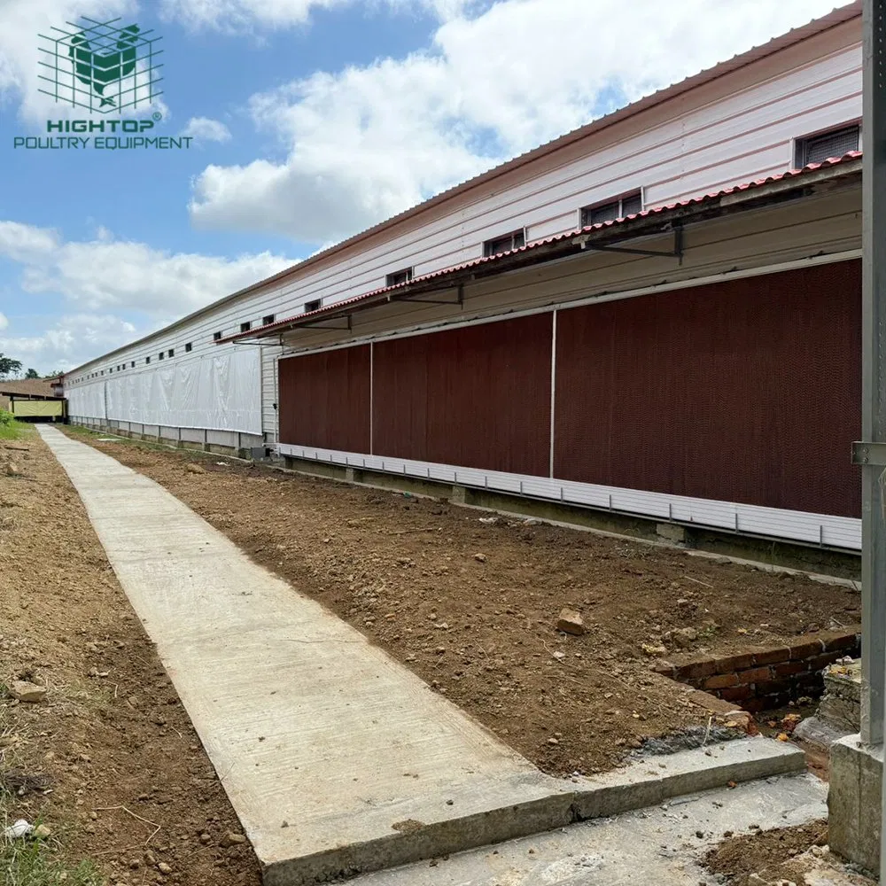 Lightweight Steel Structure Prefabricated Warehouse Building Chicken Coop House Poultry Shed With Pu Panel Wall And Roof