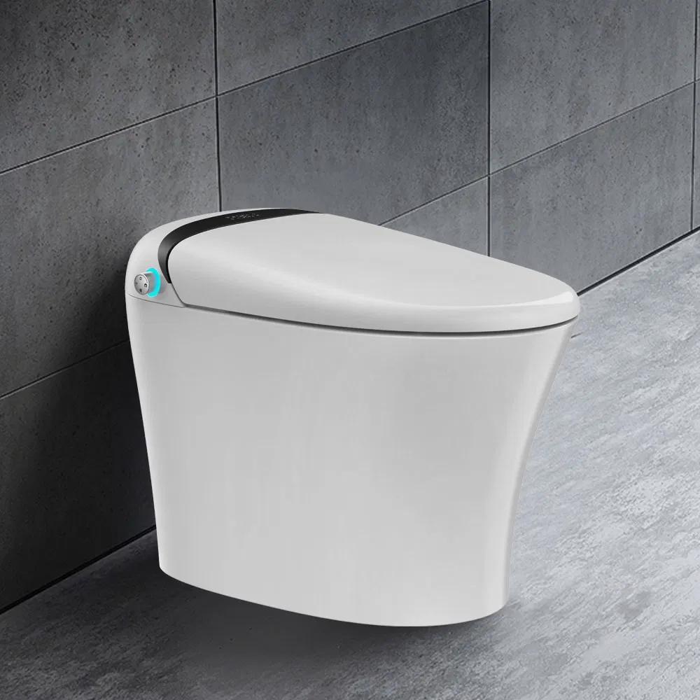 Modern Female Washing Flush Even Power off One Piece Smart Toilet