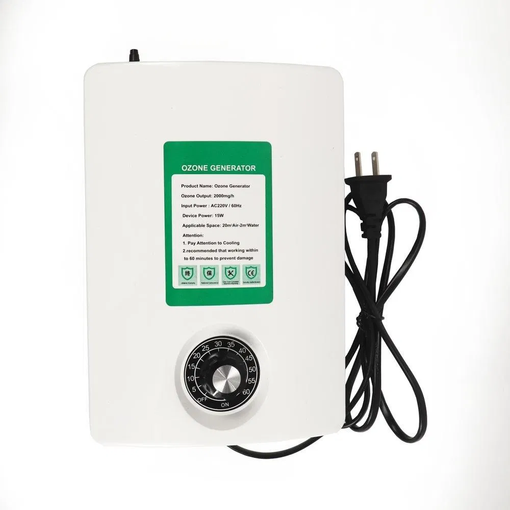 Wholesale 2000mg/H Mini Ozonator for Household Kitchen Washing Vegetable and Fruits