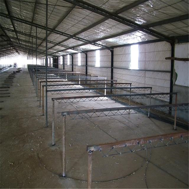 Easy Assemble Light Poultry House Steel Structure with Good Quality