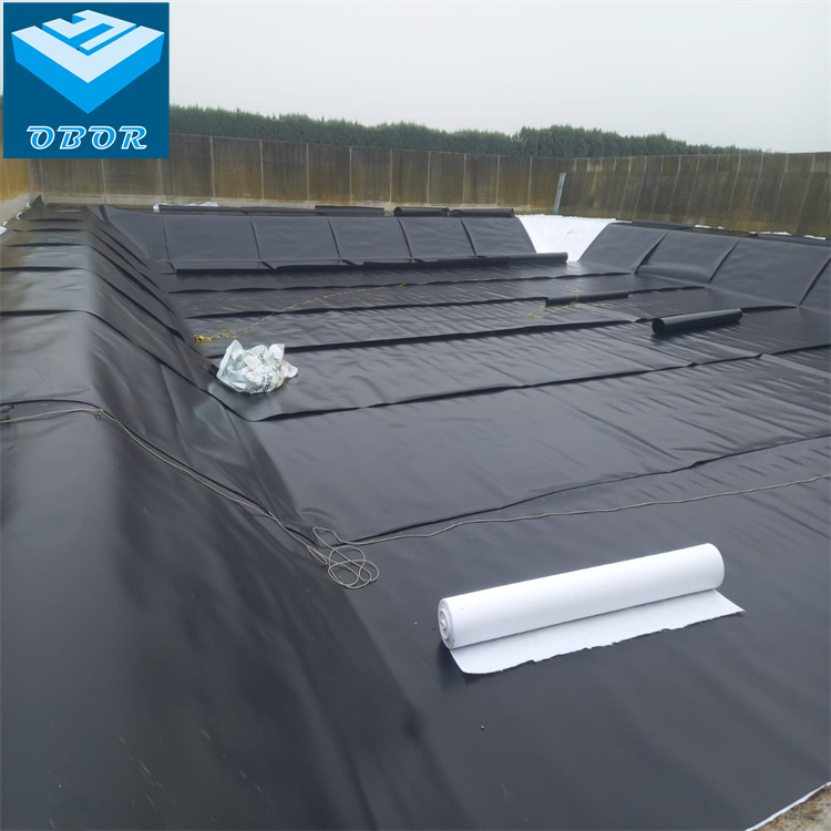 ASTM HDPE Sheet Geomembrane for Prawn Shrimp Farm