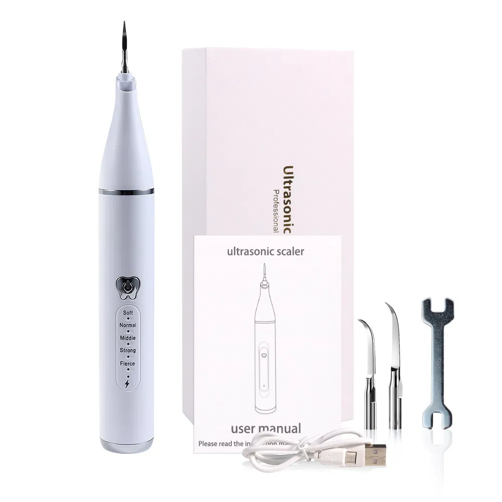 Compact Oral Care Flosser for Travel-Friendly Dental Cleaning