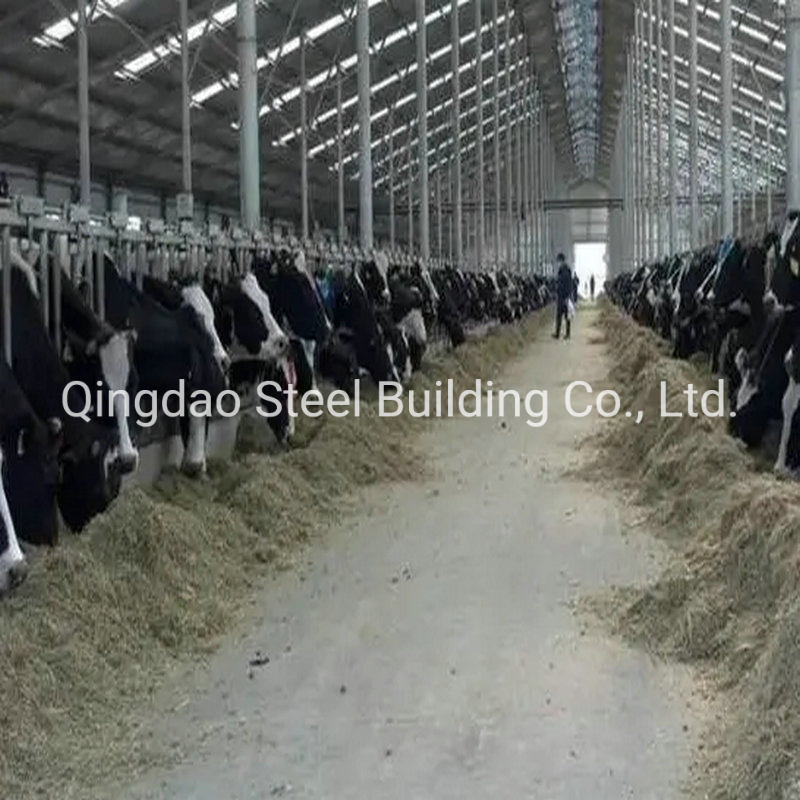 China Wholesale Prefabricated Steel Structure Roof Shed Cowshed Cattle Shed Farms Building