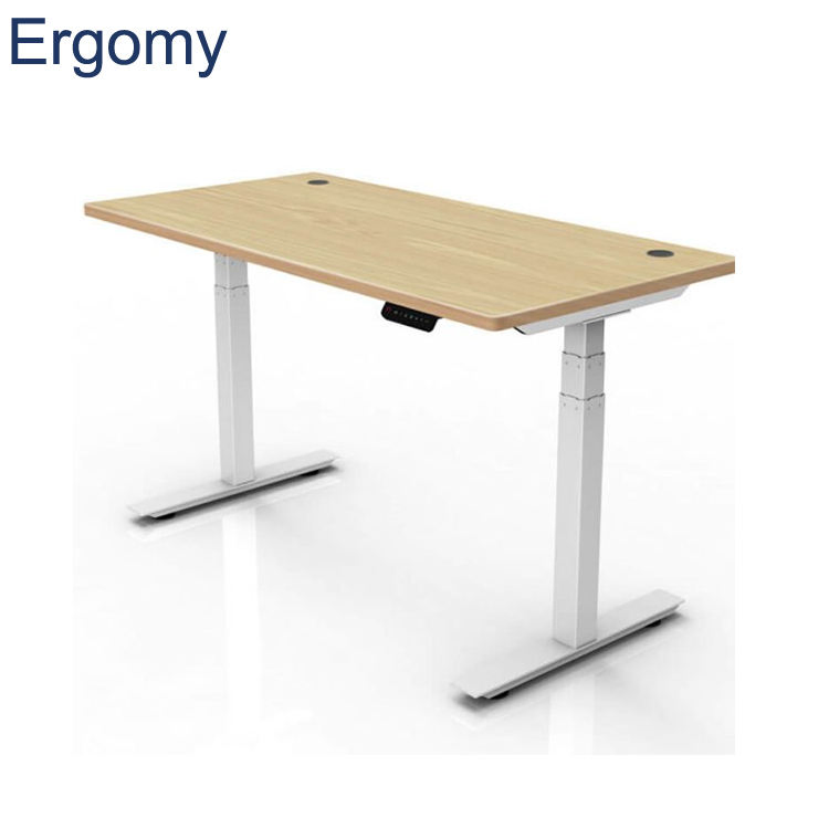 FM2-23D Chinese Factory Directly Wholesale High Quality Height Adjustable Frame Office Desk Dual Motor