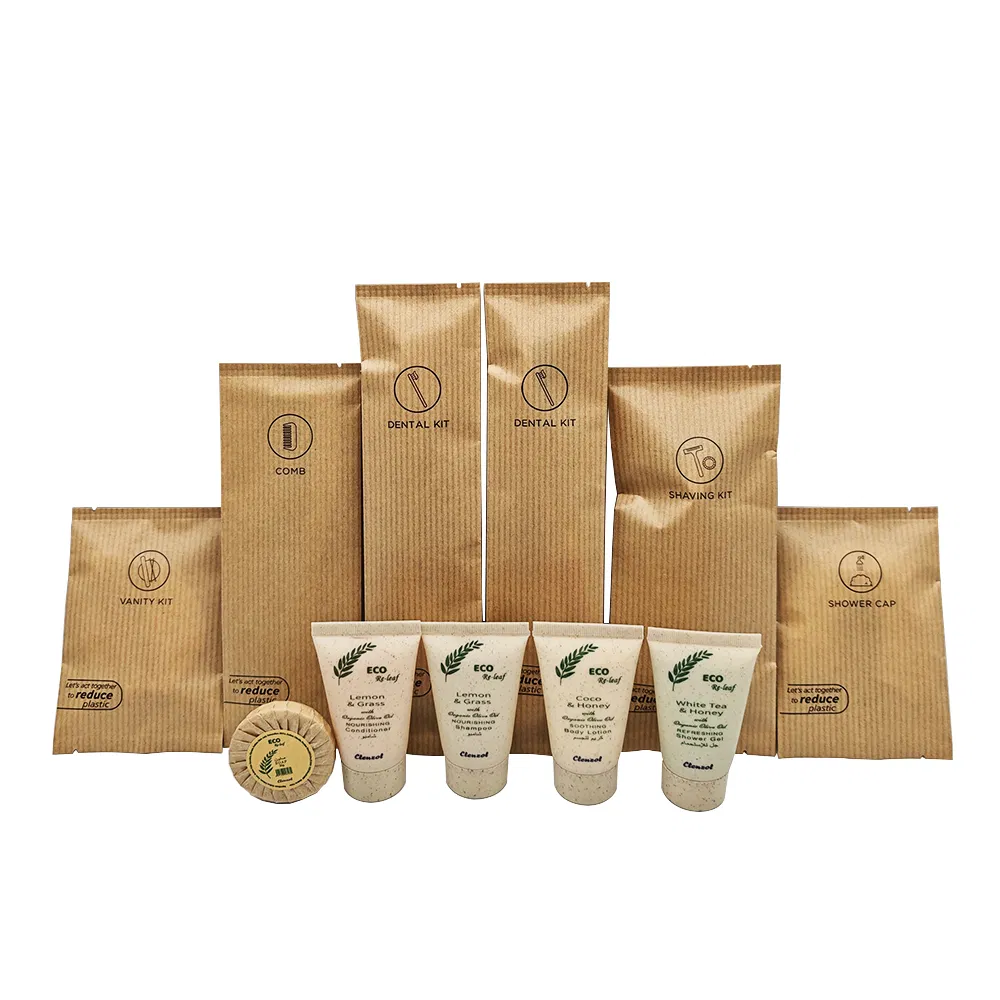 Custom Disposable Tooth Brush Supplies Set Hotel Amenity Toiletries