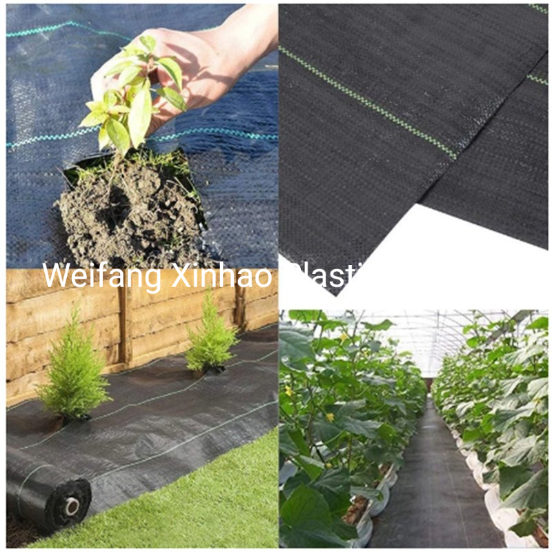 Ecological PP Woven Ground Cover / Weed Mat / Weed Killer Barrier