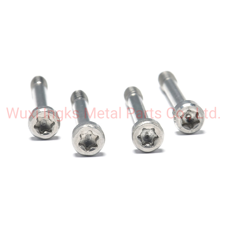 6 Lobes Inox A2 A4 Socket Cap Head Torx Captive Screw